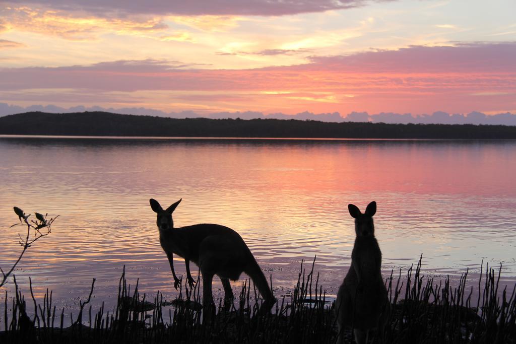 Hotel Eumarella Shores Noosa Lake Retreat Noosaville Exterior foto